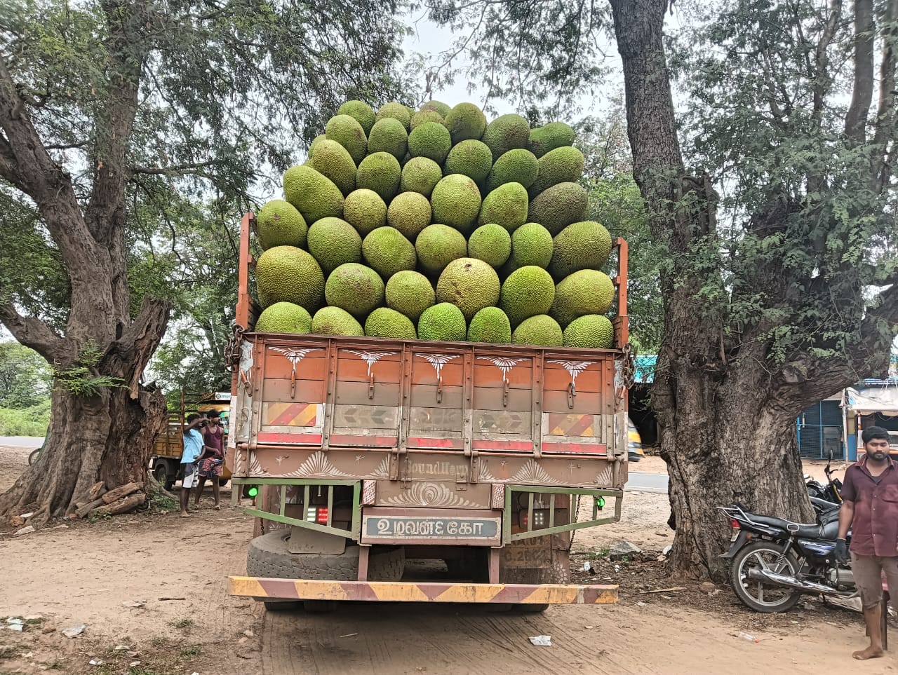Jackfruit Market